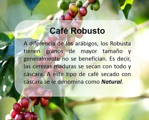 Imagen 4 de 7 de Cafe Italiano Lavazza Gusto Forte Grano 1kg