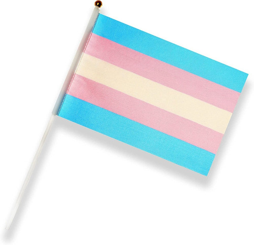 Bandera Orgullo Trans Lgbt Diversidad