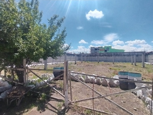 Pachuca Vende Amplio Terreno Completamente Bardeado En La Calera