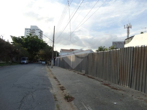 Terreno Alto De Pinheiros - 353-im317426