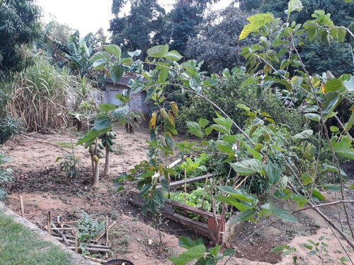 Imagem 11 de 30 de Rural - Venda - Corrupira - Cod. 7162 - V7162