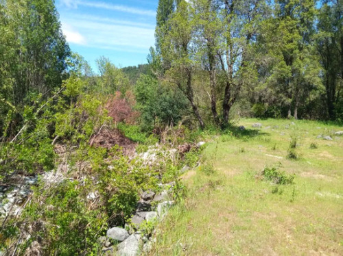 Parcela 8.000 M2, Dos Cabañas, Bosque Nativo, El Huachi