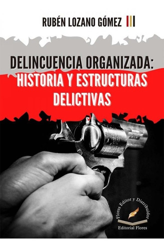 Delincuencia Organizada: Historia Y Estructuras Delic (9571)