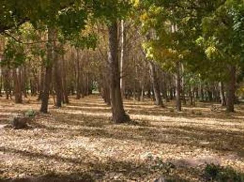 Venta Lote Uspallata Mendoza Los Cuatro Elementos.