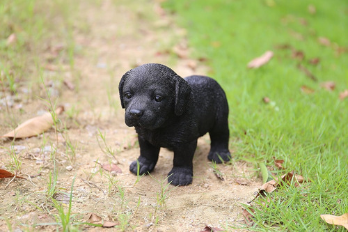 Hi-line Gift Ltd - Estatua De Cachorro De Labrador