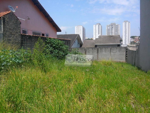 Imagem 2 de 4 de Terreno Residencial À Venda, Parque Renato Maia, Guarulhos - Te0087. - Te0087
