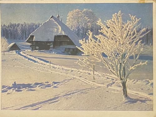 Antigua Postal, Cabaña, Invierno, Circa 1900, Alemania, 3p51