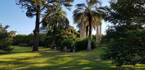 Imagen 29 de 30 de Campo - Cordoba Capital
