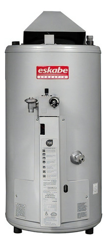 Termotanque Multigas Eskabe Acquapiú A4sh J Gris Plata 40l