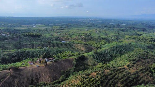 Se Vende Finca Quimbaya Quindío