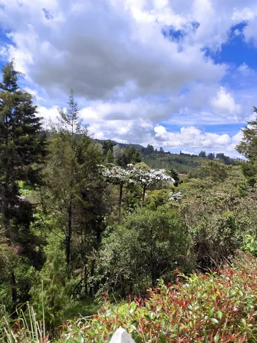 Hermosa Casa Finca En Alquiler - Guarne