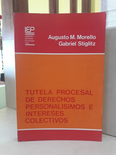 Tutela Procesal Intereses Colectivos. Morello - Stiglitz