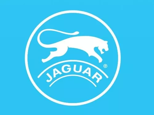 Zapatilla Mujer Jaguar Deportiva Sin Cordones Livianas #1017