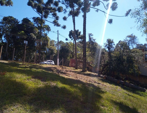 Imagem 8 de 13 de Terreno No Alto Da Boa Vista Próximo Ao Museu Felícia Lenner - 1