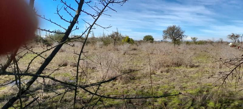 Campo Para Inversión En San Carlos