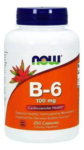 Suplemento em cápsula NOW  Vitamin B6 vitaminas Vitamin B6