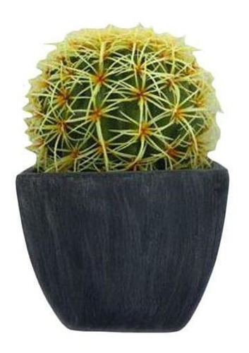 Planta Cactus Ball En Maceta De Terracota