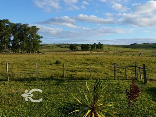 Campo En Venta En Cerro Largo Ref. 4683 (ref: Cbr-1059)