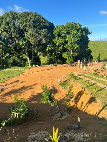 Sítio Com 4.000 Metros Com Casa E Piscina