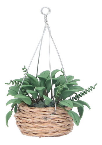 Bonsái En Miniatura Con Plantas De Casa De Muñecas Para Deco
