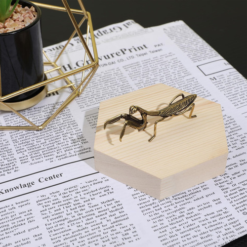Nuobesty Mantis Religiosa De Cobre, Feng Shui Estatua De Man