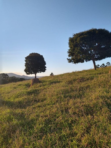 Imagem 15 de 30 de C06-lotes Para Você De Mairiporã