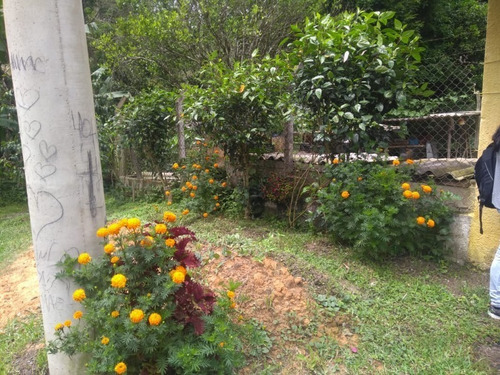 Casa - Ca00001 - 33274878