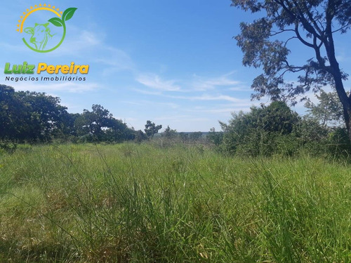 Imagem 10 de 13 de Fazenda À Venda No Vale Do Araguaia - 711,48 Hectares (dupla Aptidão) - 1947