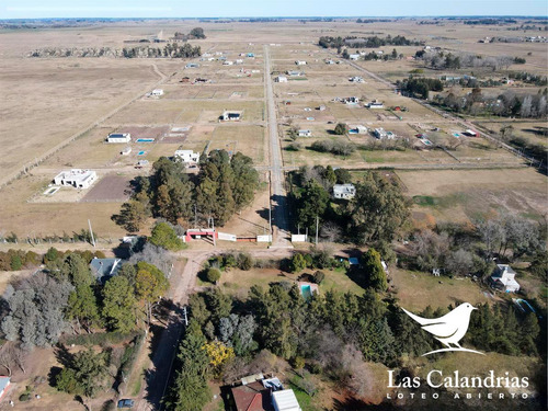 Terrenos En Venta - 1000mts2 - Las Calandrias, Abasto, La Plata