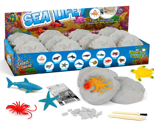 Regalo Educativo Científico De Y Excavation Ocean Life Creat