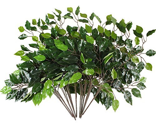 12 Piezas De Hojas De Árbol Ficus Ramas De Plantas Ver...