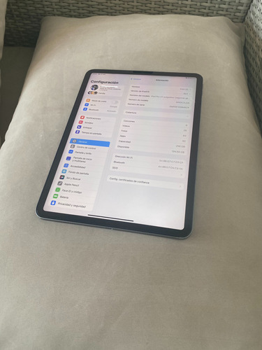 iPad Pro 11 Wi-fi 256gb 2da Generación 2020