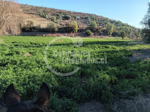 Agrícola En Venta En Combarbalá