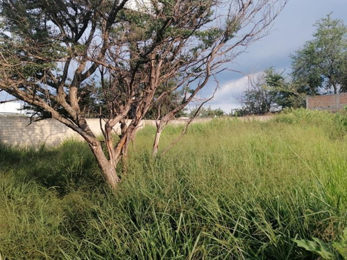 Imagen 6 de 7 de Terreno En Venta Rey Xolotl