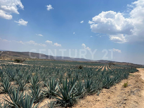 En Venta!!! Terreno Ubicado En Josefino De Allende, Jalisco.