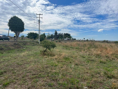 Imagen 5 de 8 de Terreno En Venta En Atlatahuan, Morelos