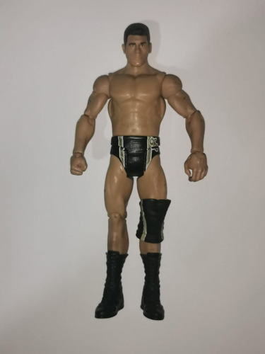 Figura Wwe Muñeco Lucha Libre Luchador Cody Rhoes M2