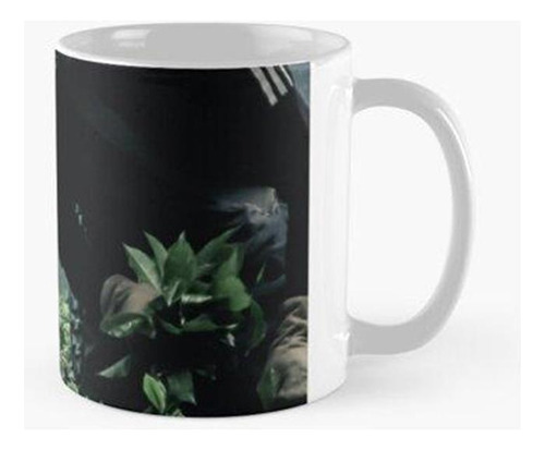 Taza Indonesia Tea Fields Farmer 1 Calidad Premium