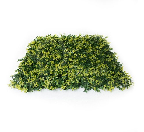 Jardin Vertical Pvc Planta Pared Exterior 50x50 052 Cuotas