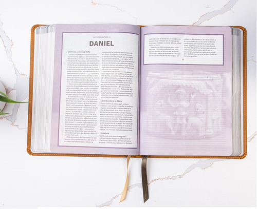 Rvr 1960 Biblia Ilustrada Tierra Santa Café Símilpiel Ind