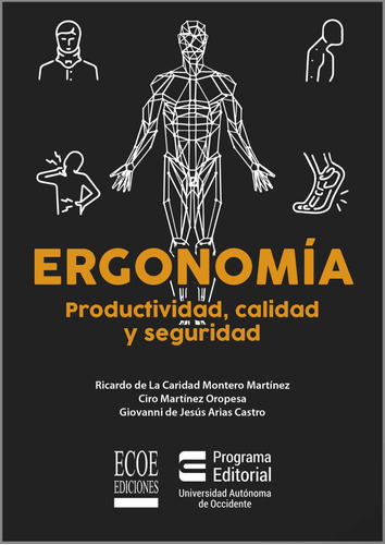 Libro Ergonomía Productividad Calidad Y Seguridad