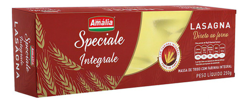 Lasagna Integrale 250g Speaciale