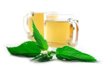 Comprar Diente De Leon 1 Kilo Hierbas Medicinales