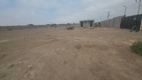 Arriendo Sitios 5.000m², Seguros, A 10 Minutos Ruta 5