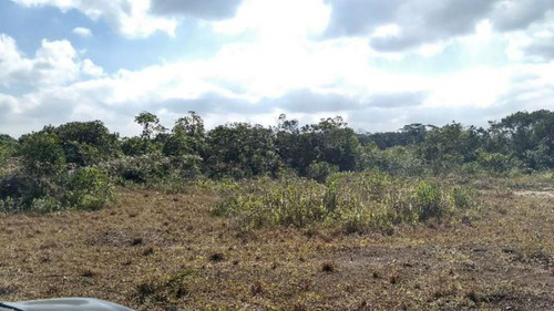 Imagem 5 de 16 de Ótima Área Para Sítio Com 27.500 M² De Área Total, Com Riacho, Construção Para Terminar, No Balneário Gaivota, Em Itanhaém Ref: 4690/ac