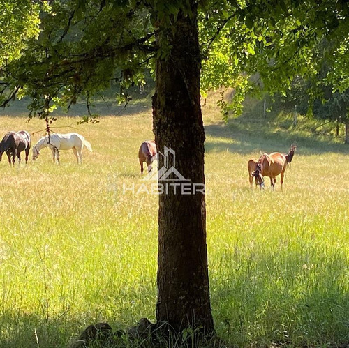Imagen 2 de 29 de Agrícola 122 Ha. Con Rio Y Bosque Nativo En Venta Collipulli
