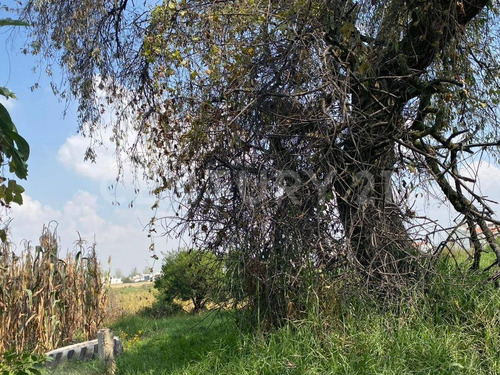 Terreno En Venta En San Andrés Ocotlán, Calimaya, Estado De México