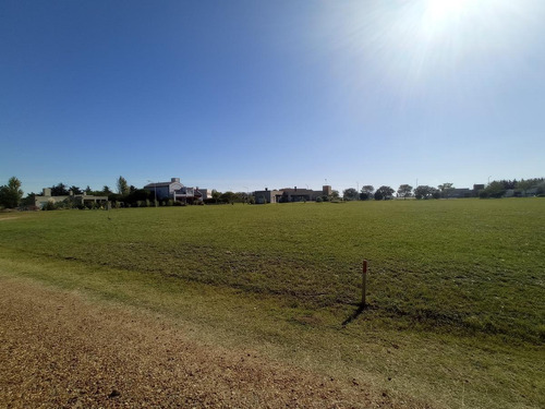 Imagen 8 de 13 de Terreno - Gualeguaychu