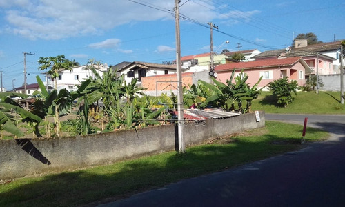 Imagem 3 de 3 de Terreno - Sao Simao - Ref: 33820 - V-33817