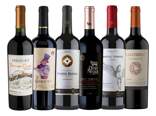 Pack 6x Vinos Gran Reserva Carmenere Mix 